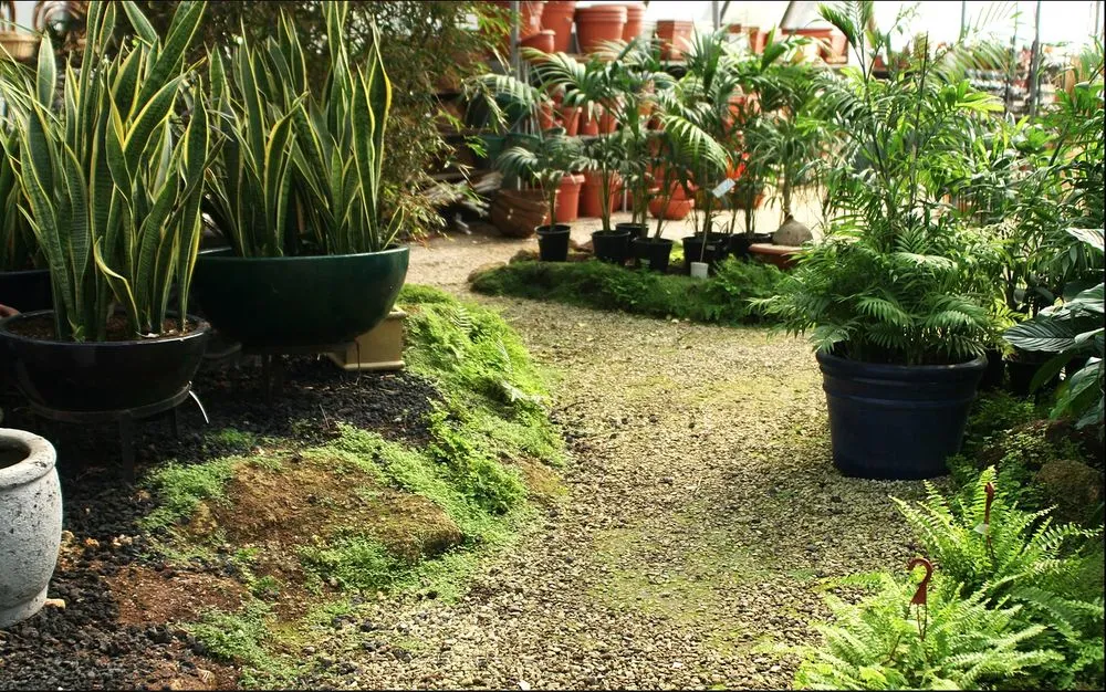 Expert yard maintenance near you in Vero Beach, FL by Wetmiller Landscape Team