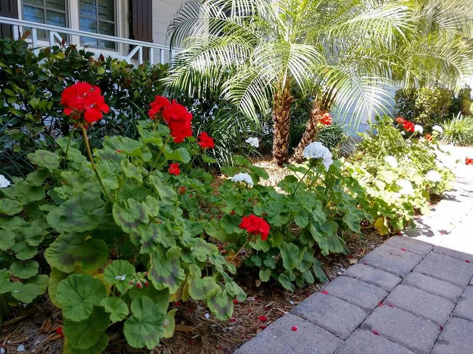 Local residential landscaping for outdoor upgrades across Vero Beach, FL - Wetmiller Landscape Team