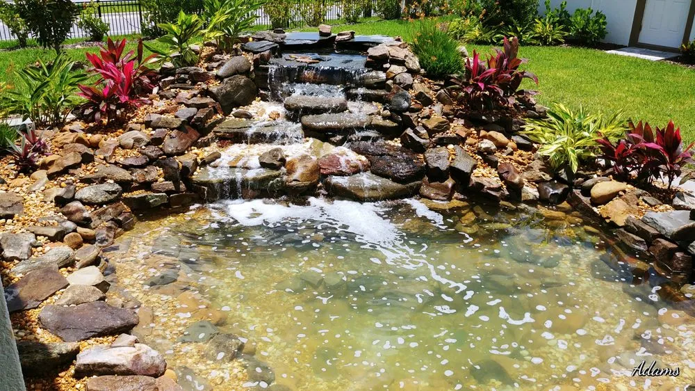 Expert lawn mowing service in Tampa, FL - Wetrocks