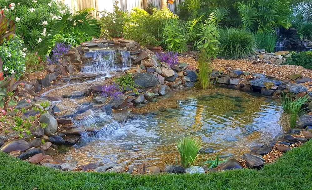 Reliable landscape design experts serving Tampa, FL - Wetrocks