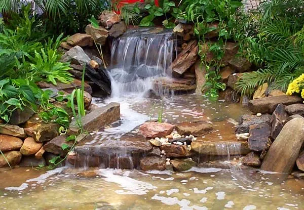 Expert lawn mowing service near you across Tampa, FL - Wetrocks