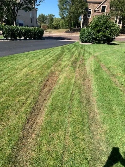 Affordable yard cleanup service for outdoor upgrades across Lansdale, PA - Wetter Landscaping