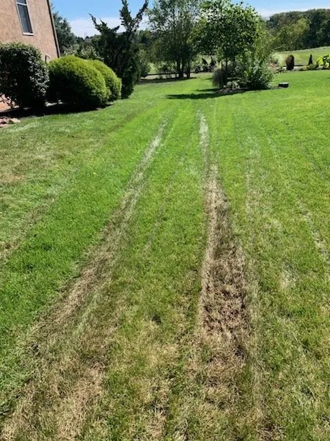 Top-rated landscape design for beautiful yards across Lansdale, PA - Wetter Landscaping