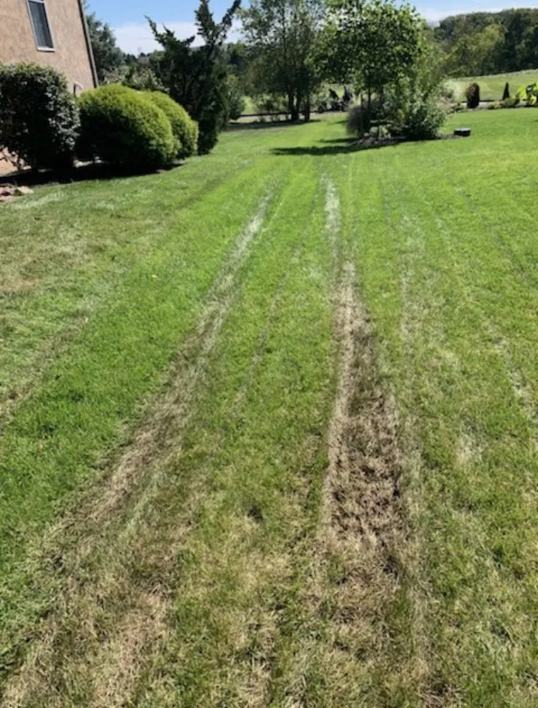 Top-rated landscape design near you across Lansdale, PA - Wetter Landscaping