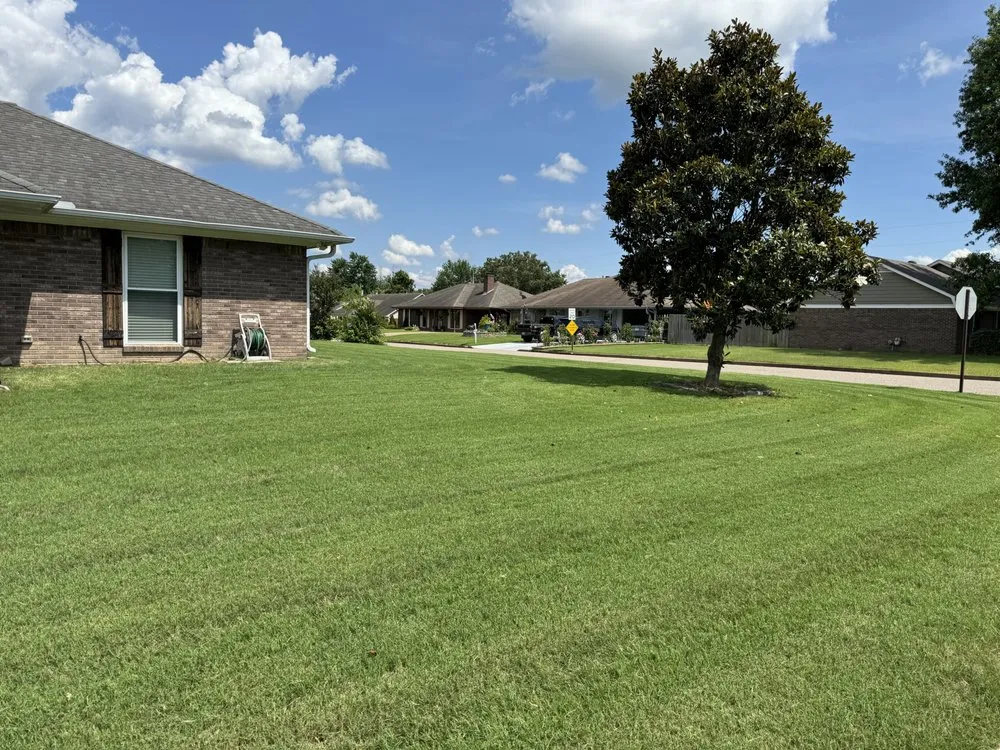 Trusted landscape installation near you across Olive Branch, MS - WEW Lawn Care