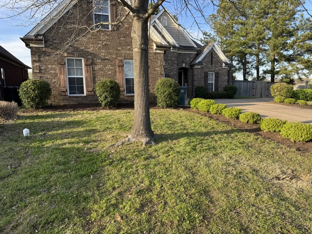 Local residential landscaping in Olive Branch, MS - WEW Lawn Care