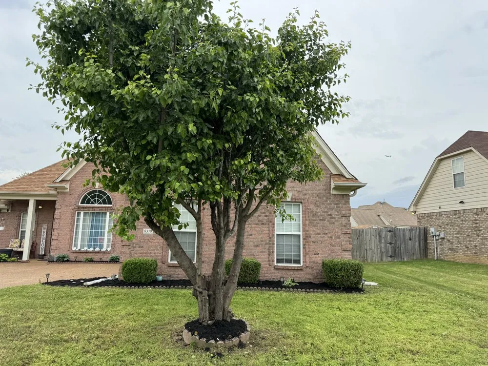 Custom garden landscaping with custom design across Olive Branch, MS - WEW Lawn Care