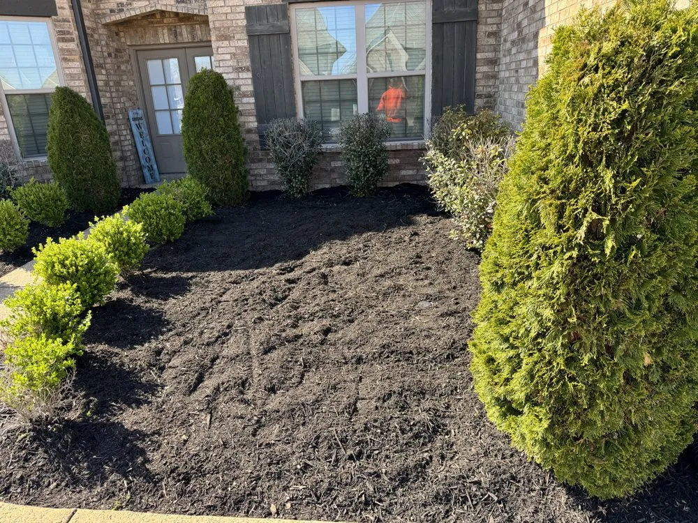 Reliable landscaping services experts serving Olive Branch, MS - WEW Lawn Care