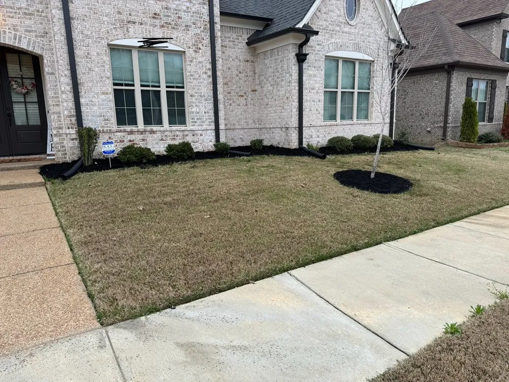 Reliable landscape installation for year-round maintenance in Olive Branch, MS by WEW Lawn Care