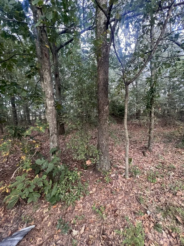 Trusted garden landscaping in Jonesboro, AR by Wewers LandworX