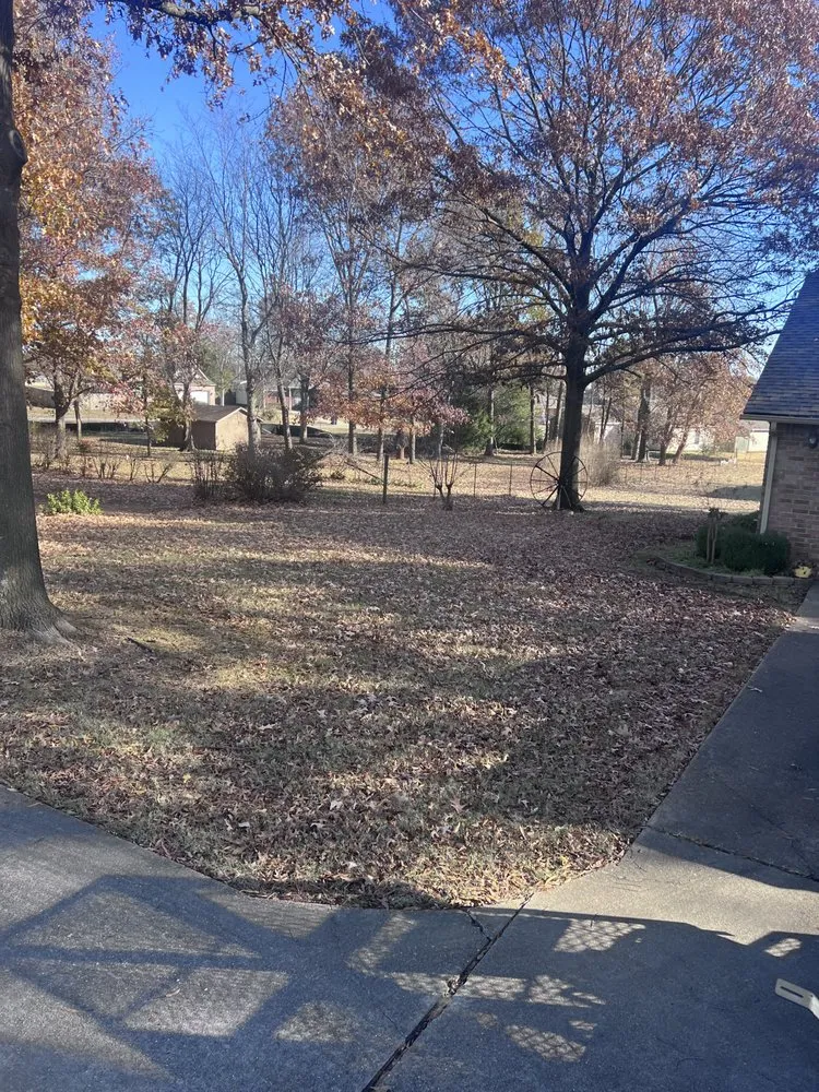 Expert yard maintenance experts serving Jonesboro, AR - Wewers LandworX