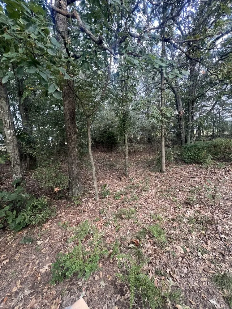 Local outdoor landscaping for outdoor upgrades across Jonesboro, AR - Wewers LandworX