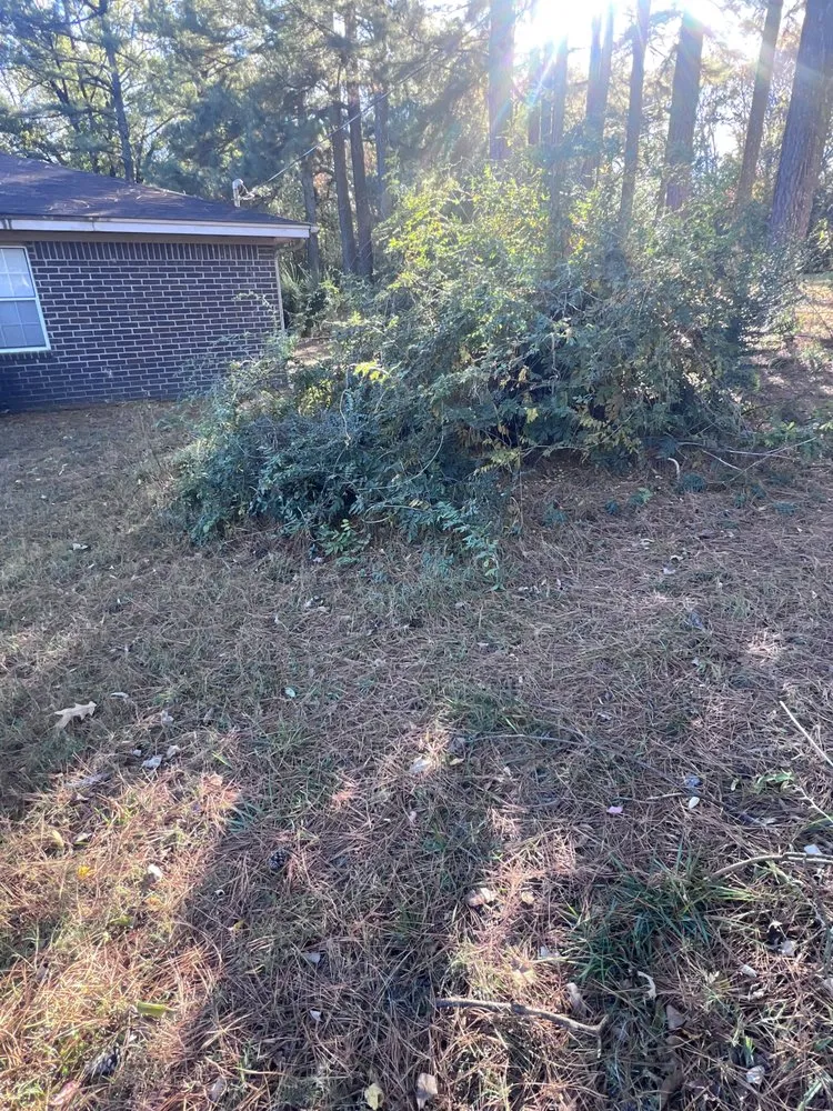 Expert yard cleanup service with custom design in Jonesboro, AR by Wewers LandworX