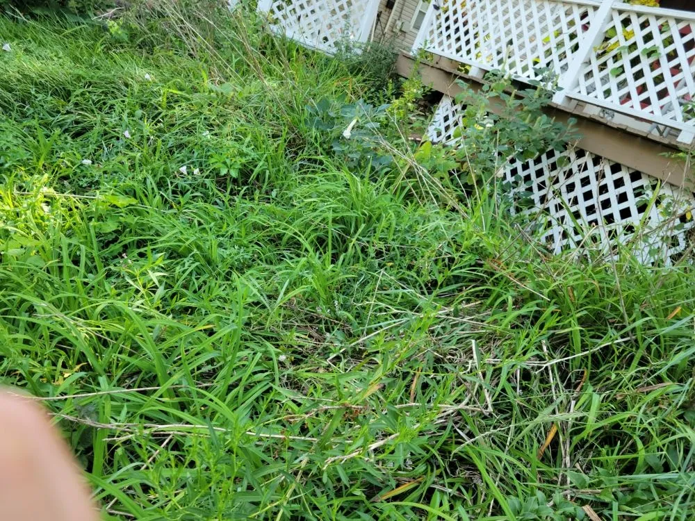 Trusted yard maintenance for homes across Brookhaven, PA - Wexbel landscaping