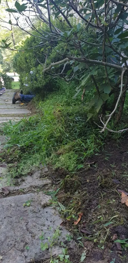 Reliable landscape installation in Brookhaven, PA by Wexbel landscaping