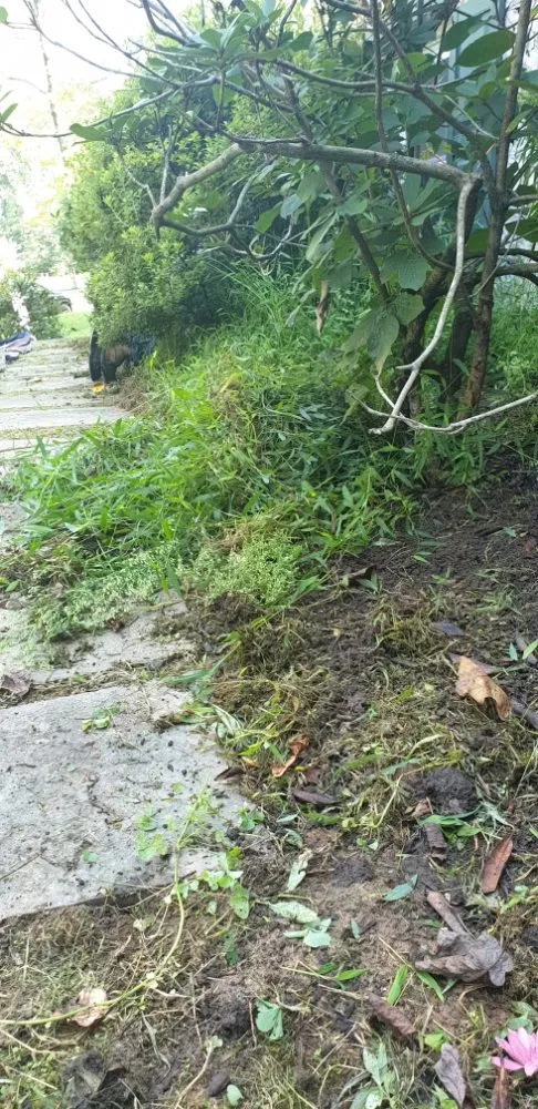 Custom landscape design in Brookhaven, PA - Wexbel landscaping