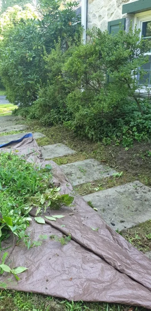 Professional yard cleanup service with custom design in Brookhaven, PA by Wexbel landscaping