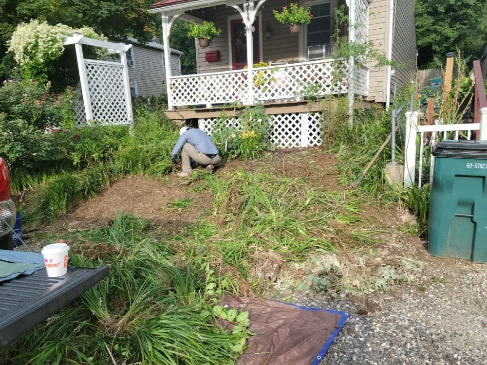 Local lawn care service for year-round maintenance in Brookhaven, PA by Wexbel landscaping
