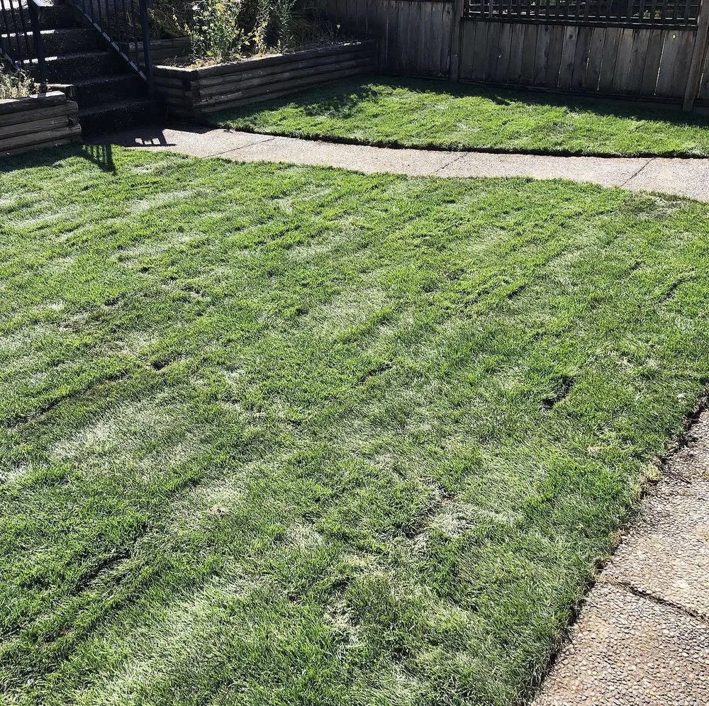 Reliable yard maintenance in Atlanta, GA by Weybridge Lawn Services