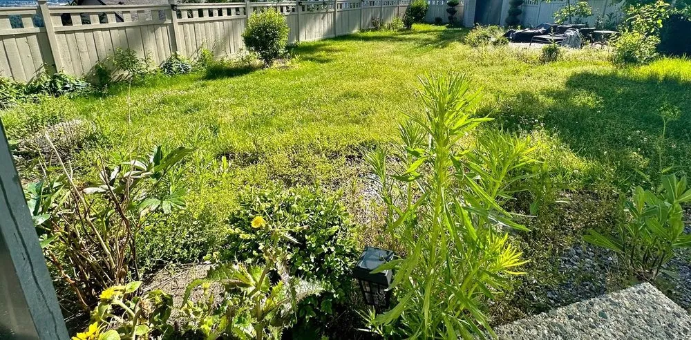 Trusted landscaping services for year-round maintenance in Atlanta, GA by Weybridge Lawn Services