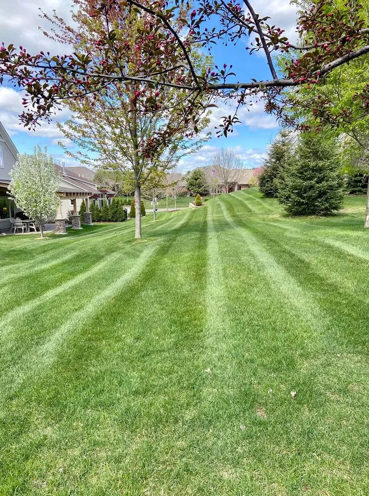 Affordable yard maintenance in Atlanta, GA - Weybridge Lawn Services