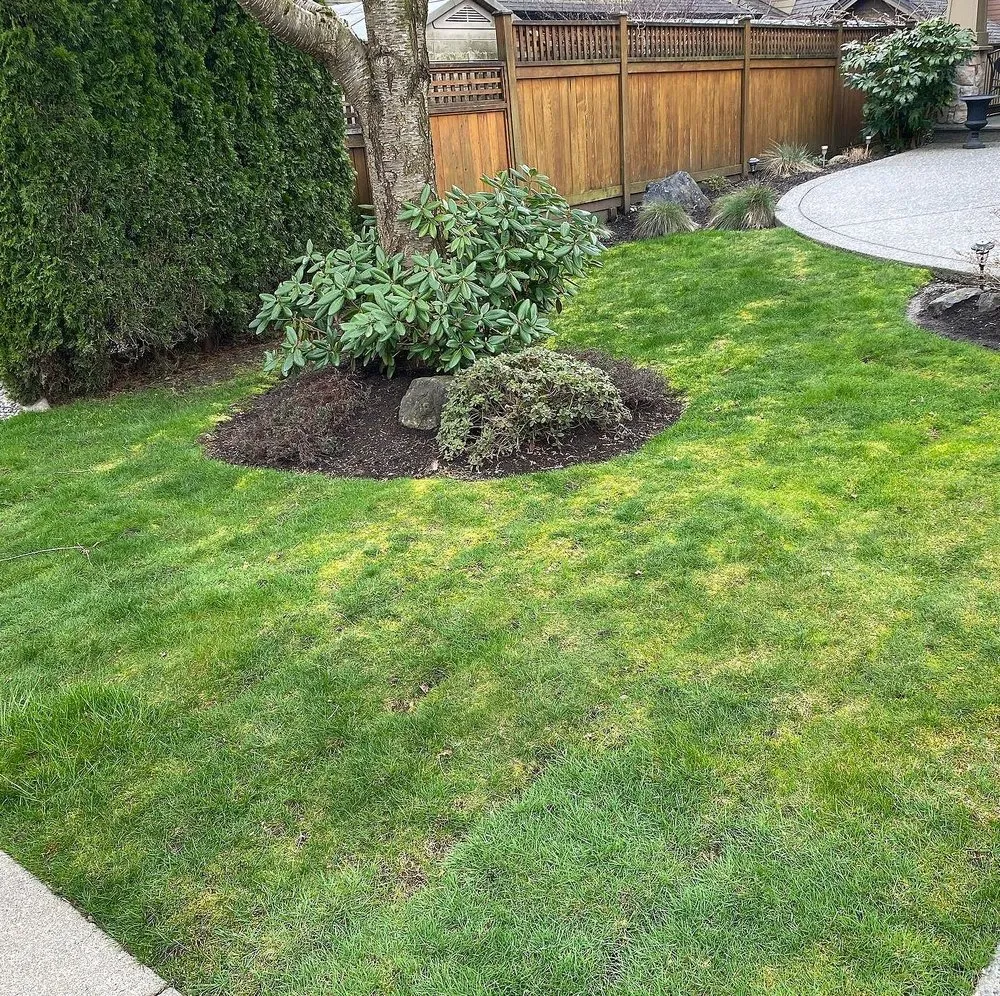 Expert outdoor landscaping experts serving Atlanta, GA - Weybridge Lawn Services