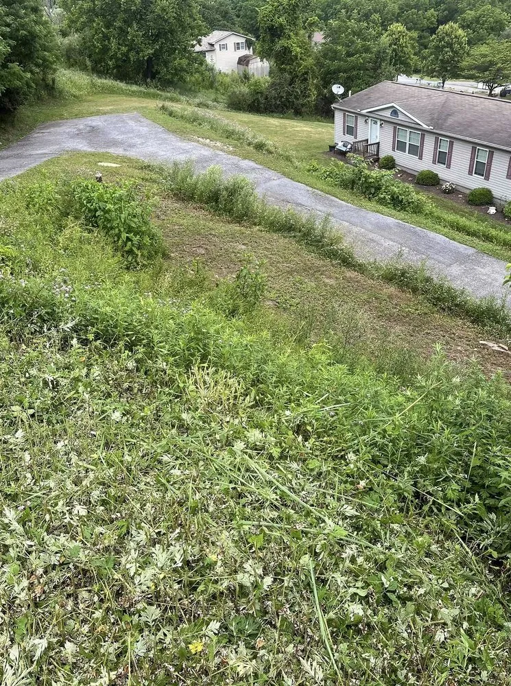 Trusted landscape installation in Atlanta, GA by Weybridge Lawn Services