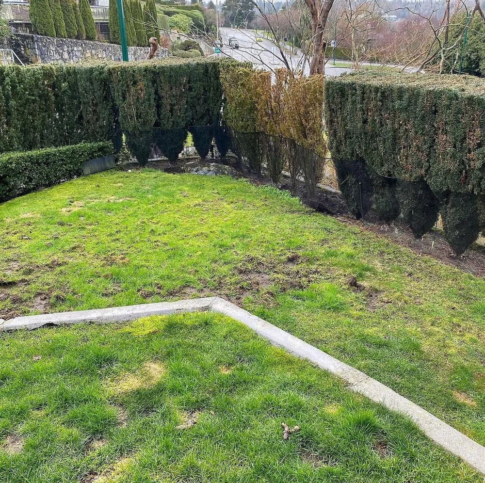 Top-rated lawn mowing service in Atlanta, GA by Weybridge Lawn Services