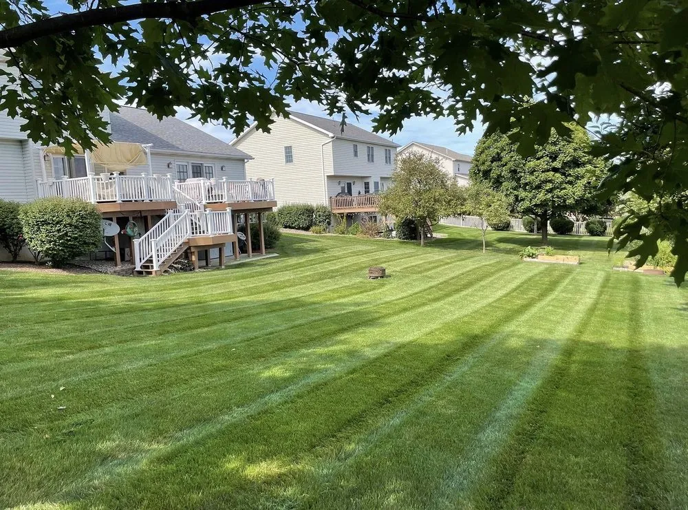 Affordable yard cleanup service for residential properties across Atlanta, GA - Weybridge Lawn Services