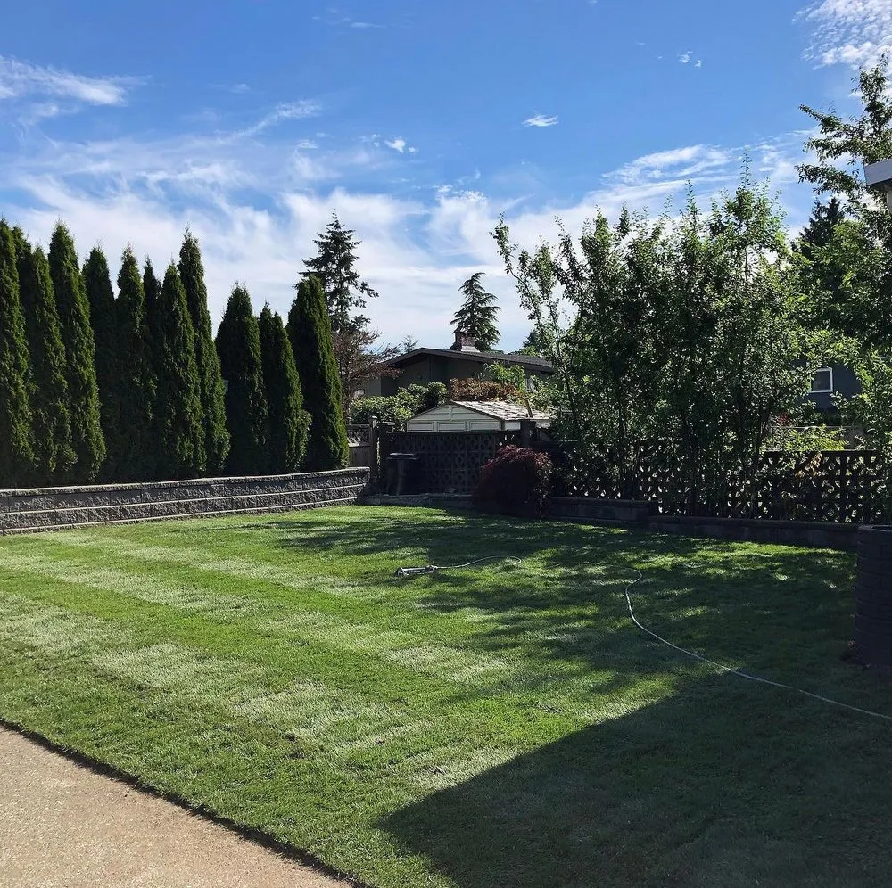 Affordable landscaping services in Atlanta, GA by Weybridge Lawn Services