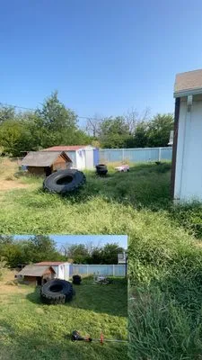 WF Green Scapes Logo