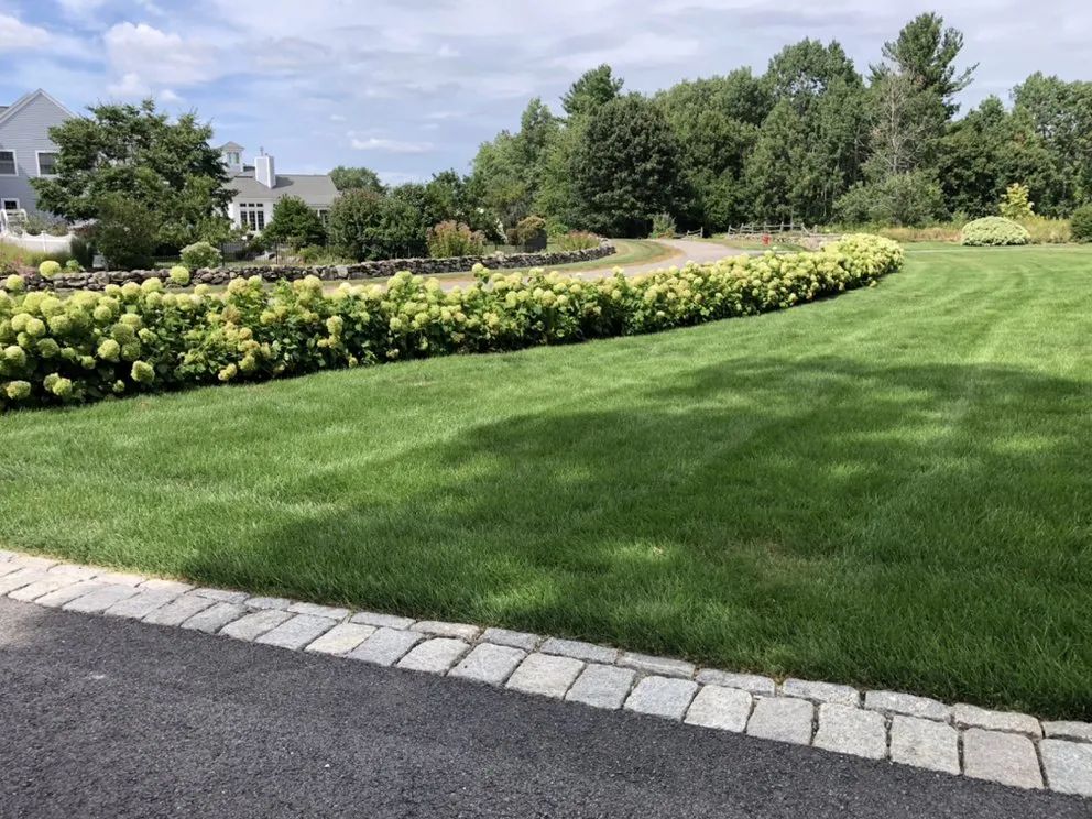 Custom residential landscaping near you across Marlborough, MA - Wf Home Solutions