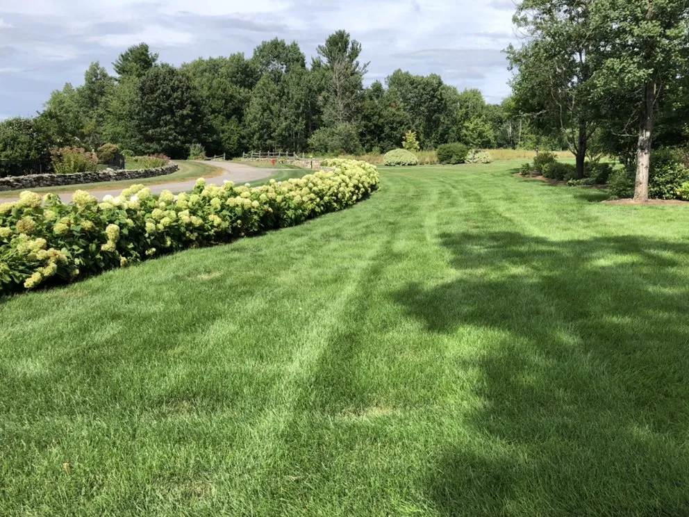 Top-rated outdoor landscaping in Marlborough, MA by Wf Home Solutions