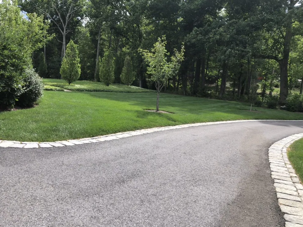 Custom yard cleanup service in Marlborough, MA - Wf Home Solutions