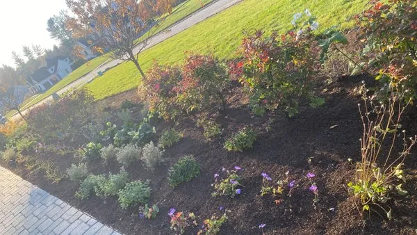 WF Irrigation And Landscaping