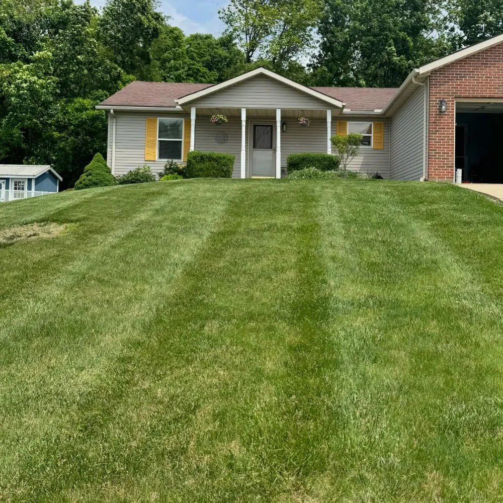 Top-rated yard cleanup service near you in Urbana, OH by WF Lawncare