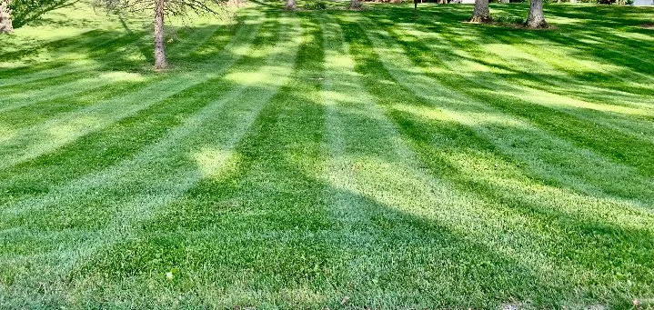 Local lawn mowing service for beautiful yards in Urbana, OH by WF Lawncare