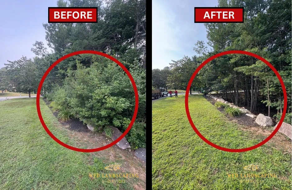 Professional residential landscaping experts serving Wilmington, MA - WFD Landscaping