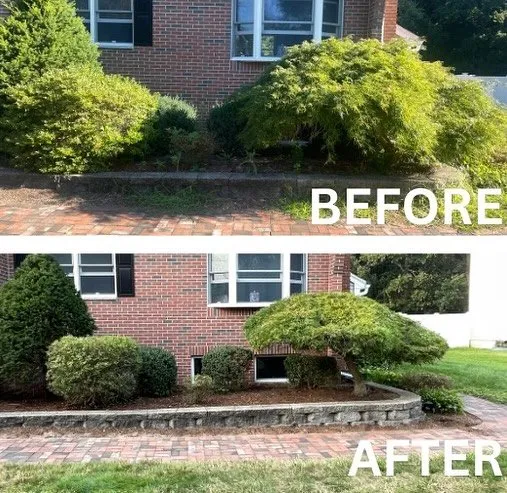 Local landscape installation experts serving Wilmington, MA - WFD Landscaping