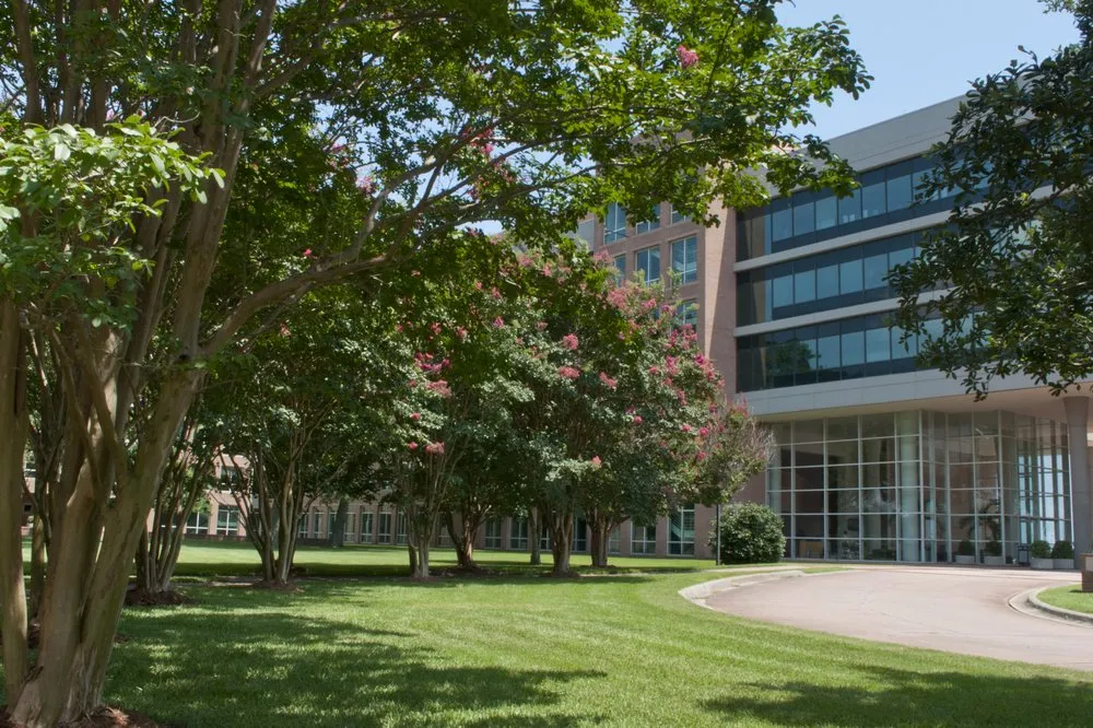 Top-rated landscape installation in Pensacola, FL by WFL Turf Services