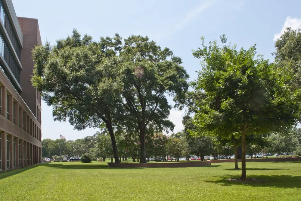 Local landscape design for year-round maintenance across Pensacola, FL - WFL Turf Services