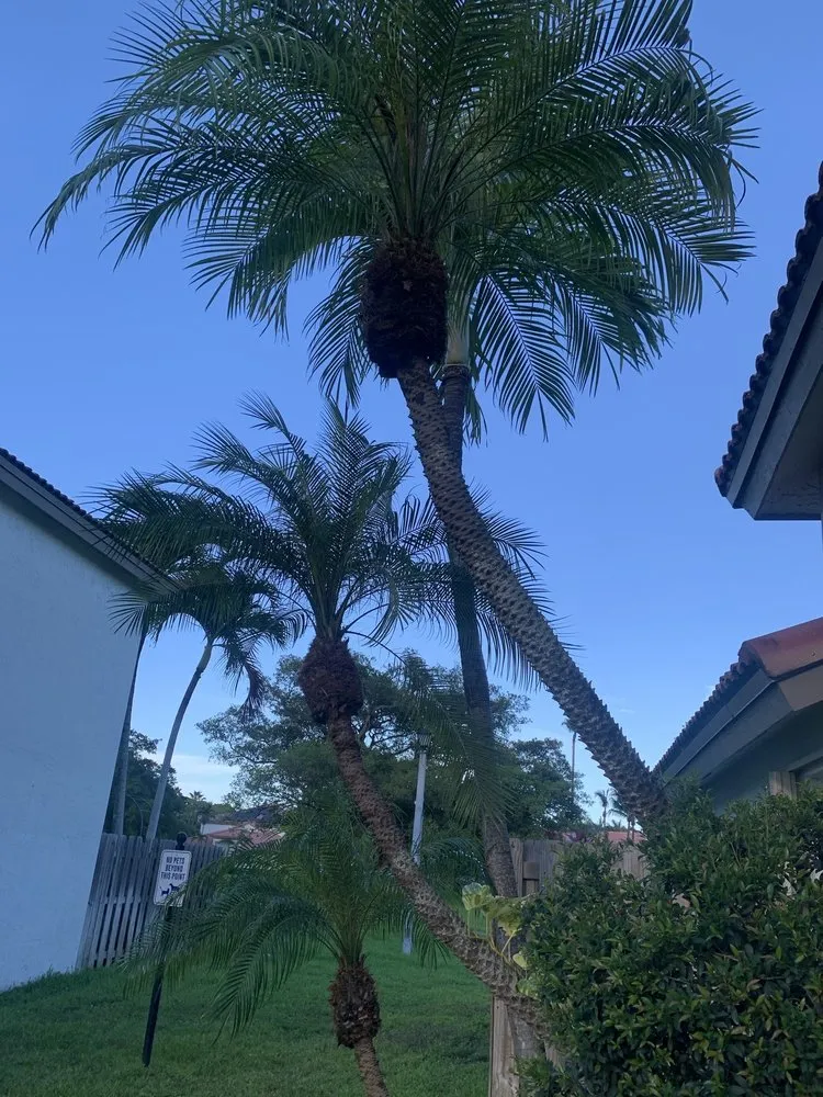 Expert garden landscaping in Fort Lauderdale, FL by W.G. Arborist Consultants