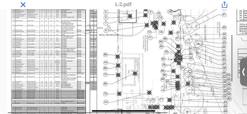 Professional landscape design for residential properties in Fort Lauderdale, FL by W.G. Arborist Consultants