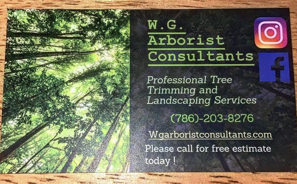 Top-rated yard cleanup service in Fort Lauderdale, FL - W.G. Arborist Consultants