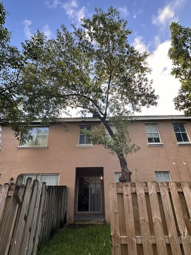 Local landscaping services experts serving Fort Lauderdale, FL - W.G. Arborist Consultants