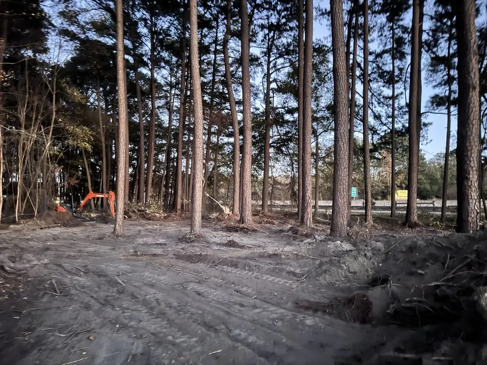 Custom lawn care service near you in Clayton, NC by WG Land & Development