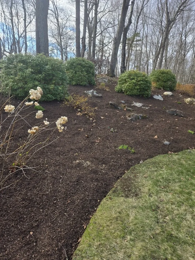 Affordable landscape design with custom design in Bridgeport, CT by WG Lawn & Landscape