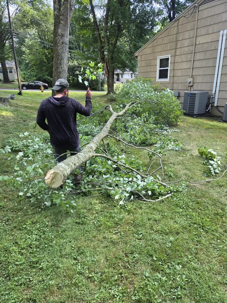 Reliable landscaping services for beautiful yards in Bridgeport, CT by WG Lawn & Landscape