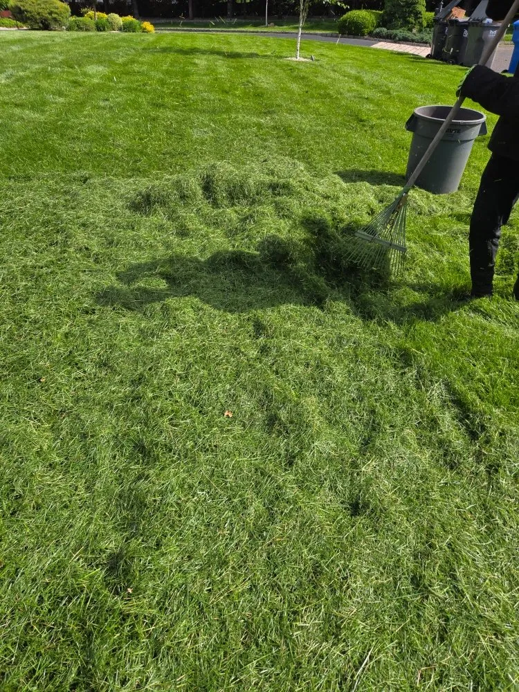 Reliable landscaping services for residential properties across Bridgeport, CT - WG Lawn & Landscape