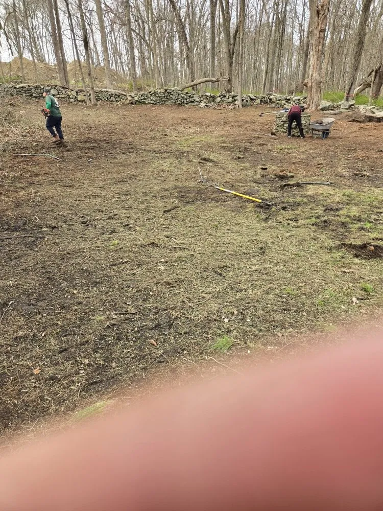 Expert landscaping services in Bridgeport, CT by WG Lawn & Landscape